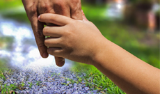 Safeguarding Framework