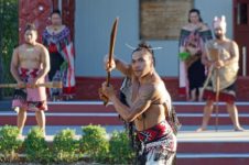 Year of Indigenous Languages: Maori and Polish