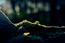 Laudato Si’ Webinar: Part Five
